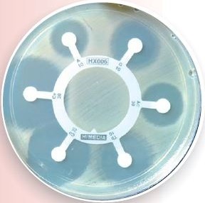 HiMedia HX043-1PK Гексадиски Pneumococci-5 для S. pneumoniae из нестерильных локусов (10 гексадисков)