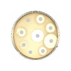 HiMedia SD210-10CT Пиперациллин/Тазобактам (100/10 мкг, 10карт.х50дисков)