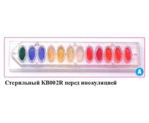 Набор для биохимической идентификации грамотрицательных бакт. HiMedia KB002R-20KT (12 тестов 20 наборов)