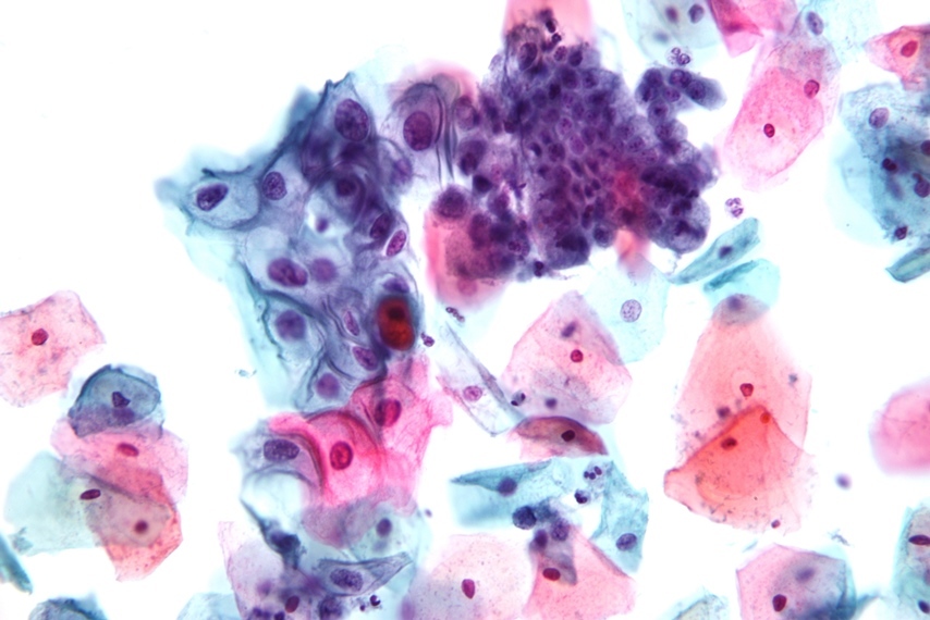 Гематоксилин (по Гаррису) HiMedia S034-125ML (125 мл)