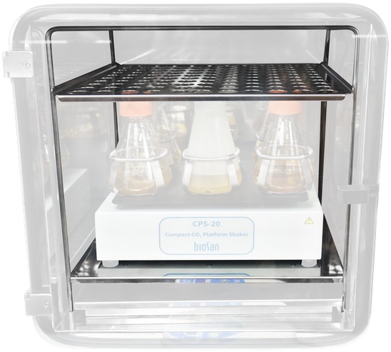 Штатив BioSan BS-010425-HK