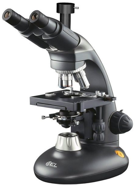 Микроскоп BEL Engineering BIO2T-PL