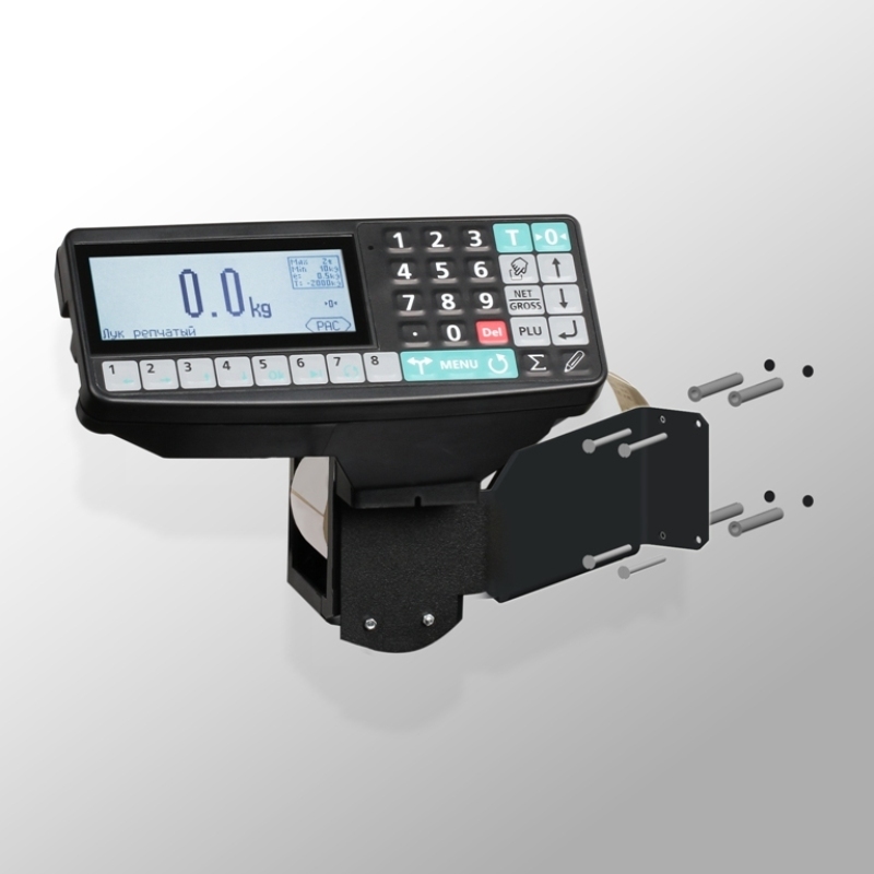 Платформенные весы МАССА-К 4D-PM-15/15-2000-RP (2000 кг/500 г)