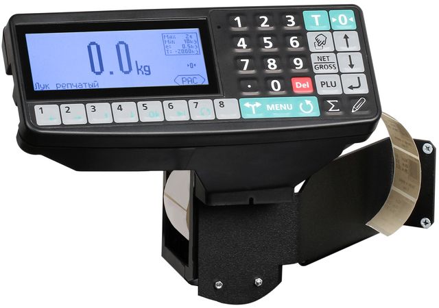 Товарные весы МАССА-К TB-5040N-200.2-RP3n (200 кг/20/50 г) — миниатюра 3