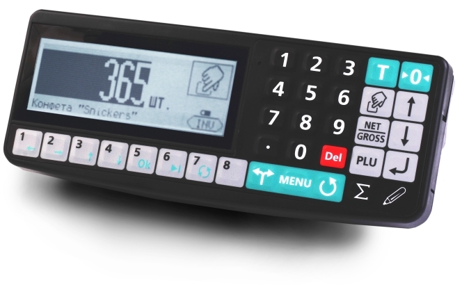 Товарные весы МАССА-К ТВ-M-600.2-RA1 (600 кг/100/200 г) — миниатюра 4