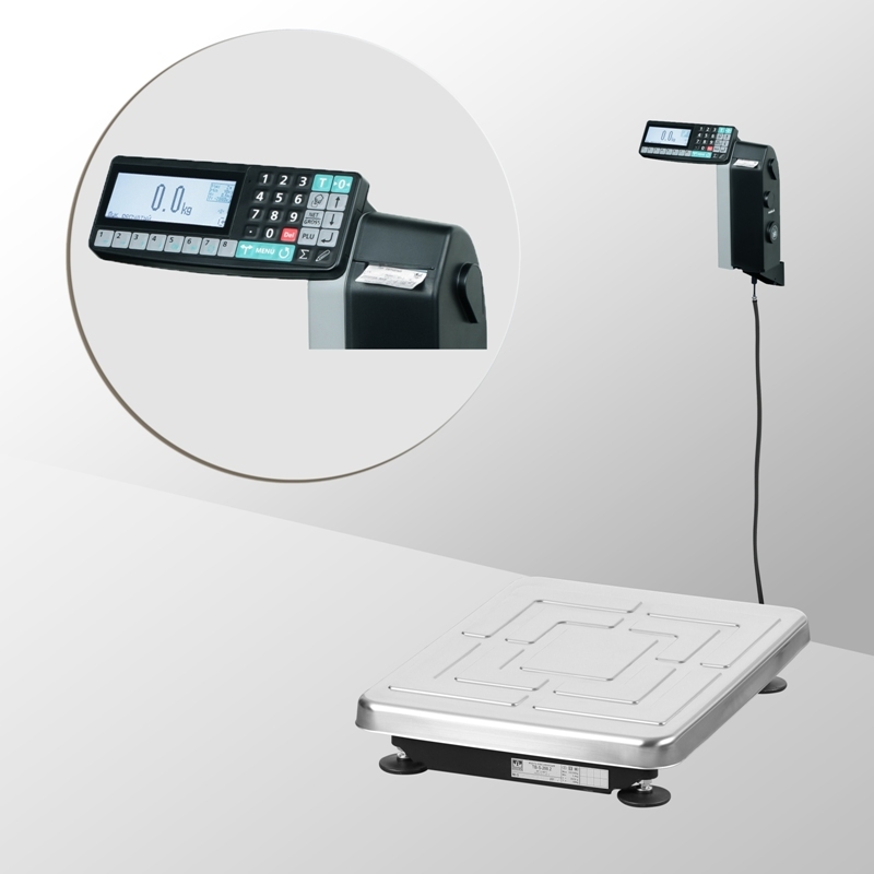 Товарные весы МАССА-К TB-S-32.2-RL1 (32 кг/5/10 г) — миниатюра 2