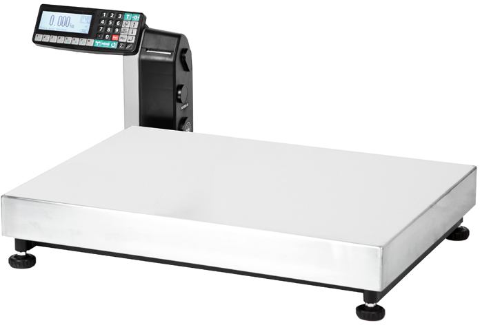 Товарные весы МАССА-К ТВ-M-600.2-RL1 (600 кг/100/200 г)