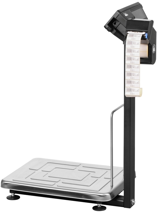 Товарные весы МАССА-К TB-S-60.2-RP3 (60 кг/10/20 г) — миниатюра 3