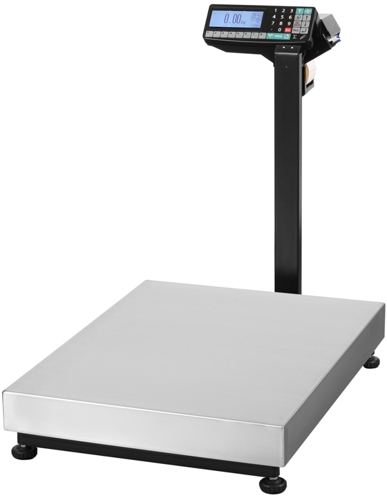 Товарные весы МАССА-К ТВ-M-300.2-R2P3 (300 кг/50/100 г)