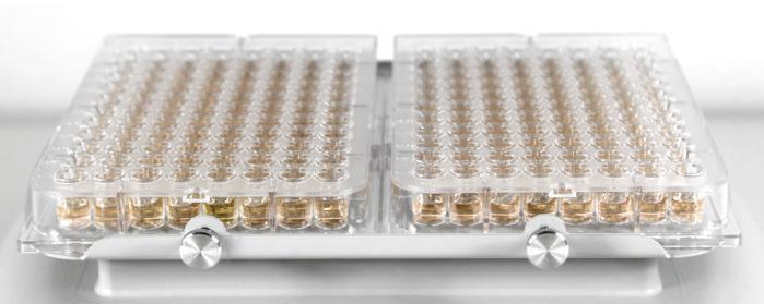 Мини-шейкер для иммунологии с платформой IPP-4 BioSan PSU-2T