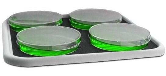 Орбитальный шейкер BioSan OS-20 c платформой Bio PP-4