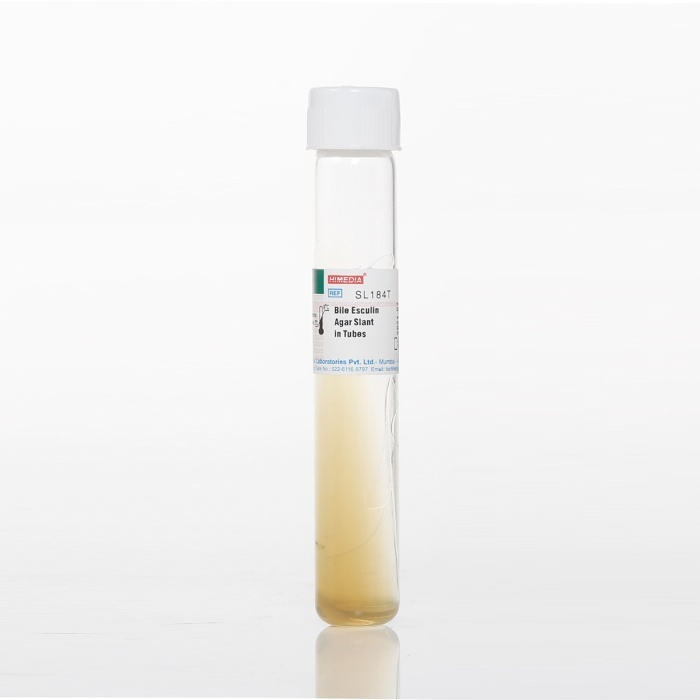 Индикатор продукции сероводорода HiH2S Test Strip модифицированный HiMedia K020 (10 фл.)