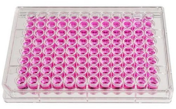 Реагенты in vitro для определения чувствительности микроорганизмов к антибиотикам HiMedia EM045-10ST